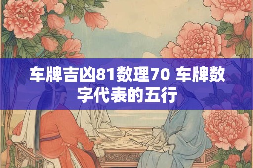 车牌吉凶81数理70 车牌数字代表的五行