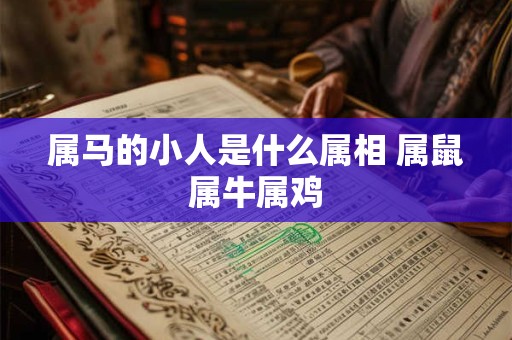 属马的小人是什么属相 属鼠属牛属鸡