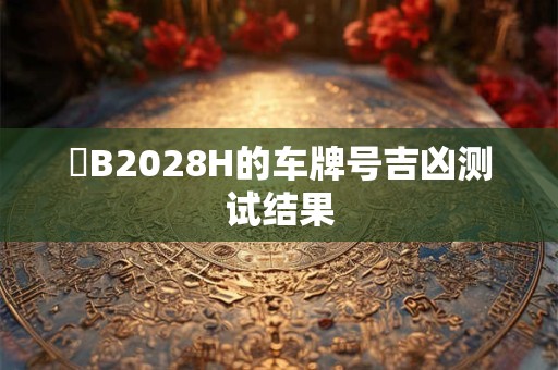 粵B2028H的车牌号吉凶测试结果