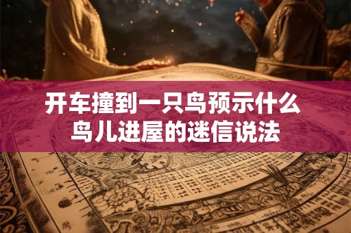 开车撞到一只鸟预示什么 鸟儿进屋的迷信说法