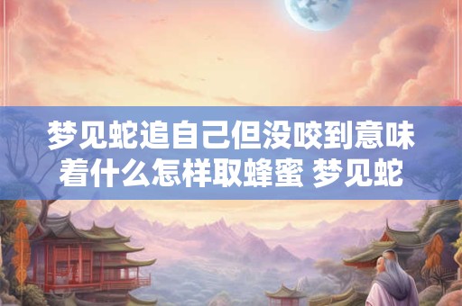 放生回向文愿以此功德(放生回向文愿以此功德歌曲)