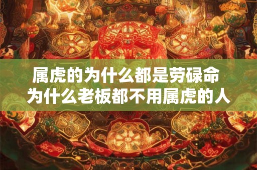 属虎的为什么都是劳碌命 为什么老板都不用属虎的人