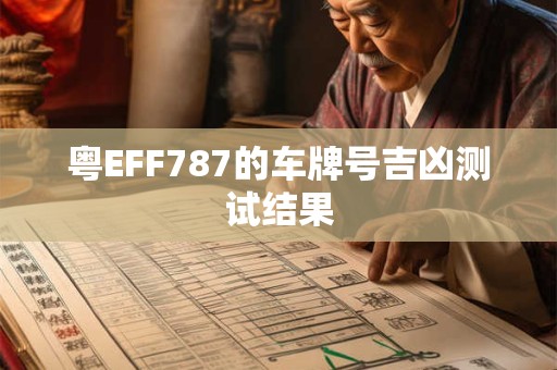 粤EFF787的车牌号吉凶测试结果