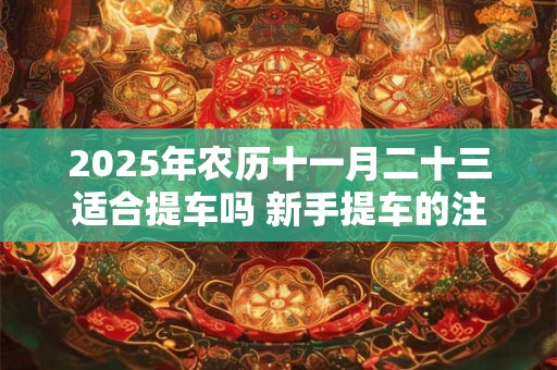 2025年农历十一月二十三适合提车吗 新手提车的注意事项