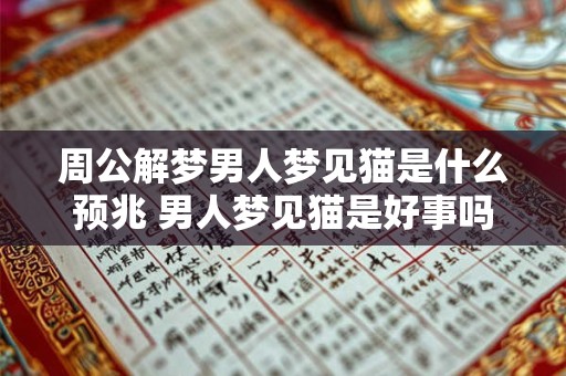 周公解梦男人梦见猫是什么预兆 男人梦见猫是好事吗