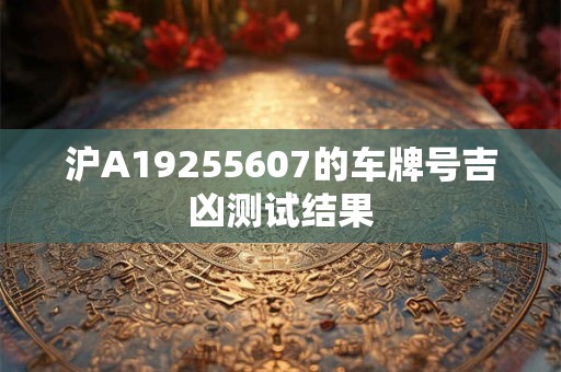 沪A19255607的车牌号吉凶测试结果