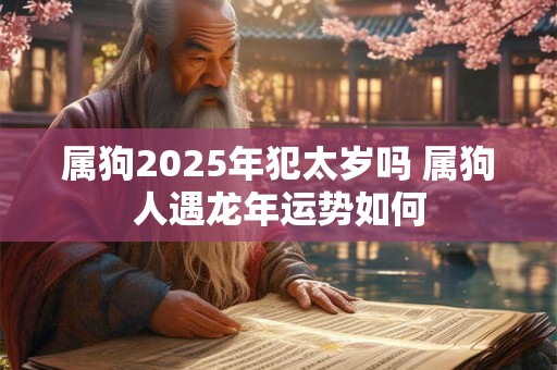 属狗2025年犯太岁吗 属狗人遇龙年运势如何 属狗2025年犯太岁吗 属狗人遇龙年运势如何