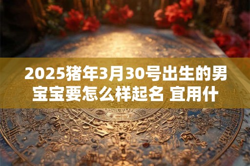 2025猪年3月30号出生的男宝宝要怎么样起名 宜用什么字