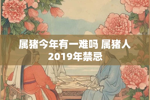 属猪今年有一难吗 属猪人2019年禁忌