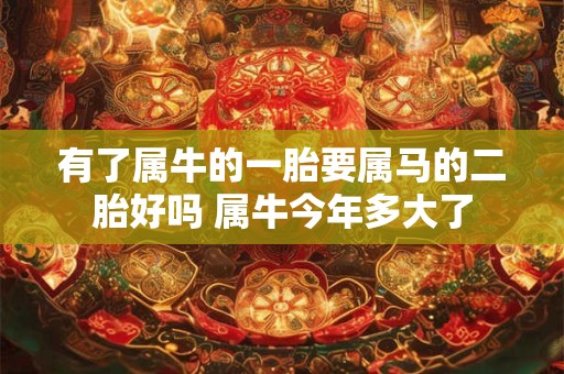 有了属牛的一胎要属马的二胎好吗 属牛今年多大了
