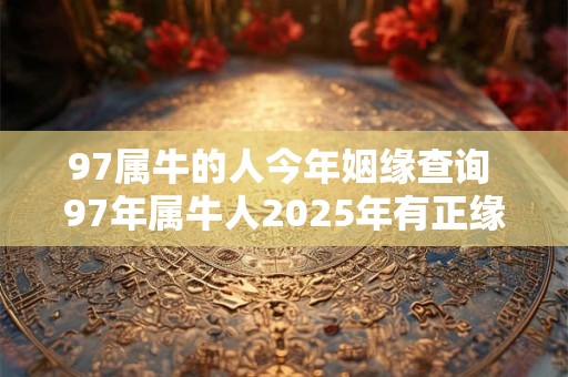 97属牛的人今年姻缘查询 97年属牛人2025年有正缘吗