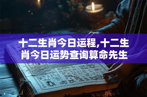 十二生肖今日运程,十二生肖今日运势查询算命先生