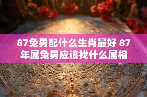 87兔男配什么生肖最好 87年属兔男应该找什么属相