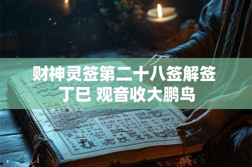 财神灵签第二十八签解签 丁巳 观音收大鹏鸟