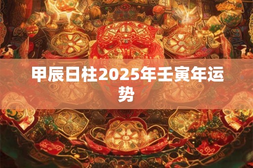 甲辰日柱2025年壬寅年运势