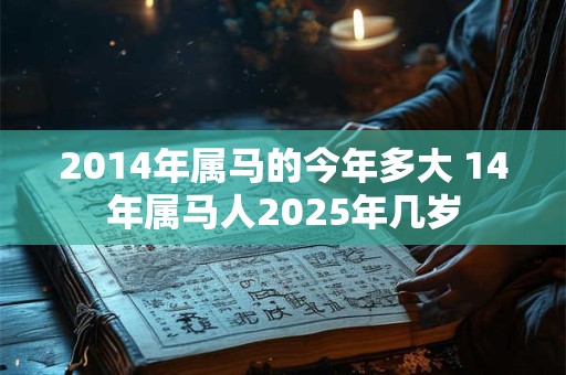 2014年属马的今年多大 14年属马人2025年几岁