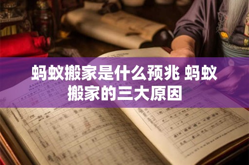 蚂蚁搬家是什么预兆 蚂蚁搬家的三大原因