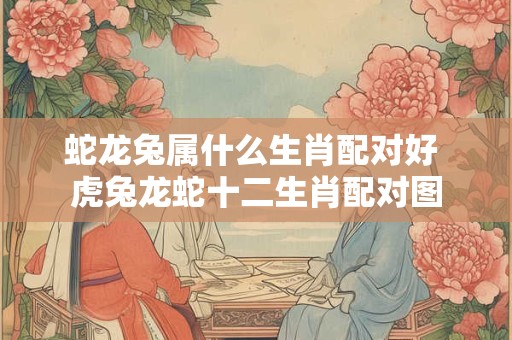 蛇龙兔属什么生肖配对好 虎兔龙蛇十二生肖配对图