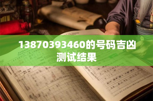 13870393460的号码吉凶测试结果