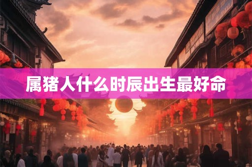 属猪人什么时辰出生最好命
