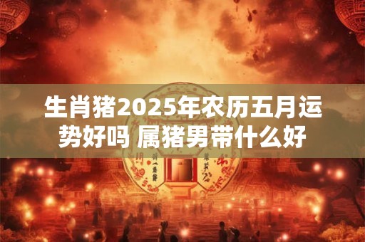 生肖猪2025年农历五月运势好吗 属猪男带什么好