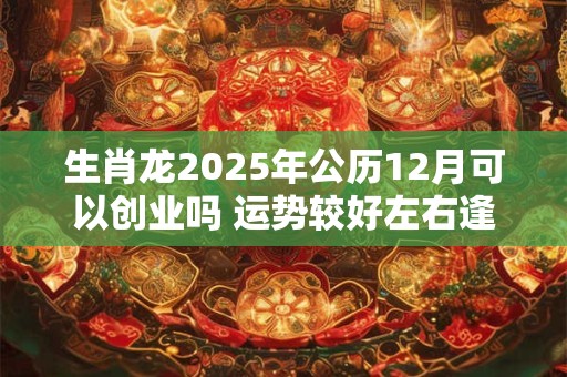生肖龙2025年公历12月可以创业吗 运势较好左右逢源