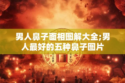 男人鼻子面相图解大全;男人最好的五种鼻子图片