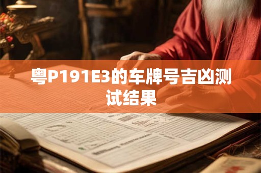 粤P191E3的车牌号吉凶测试结果