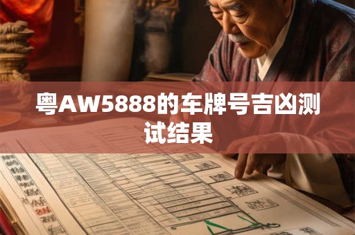 粤AW5888的车牌号吉凶测试结果