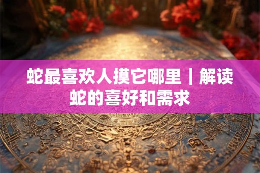 蛇最喜欢人摸它哪里｜解读蛇的喜好和需求