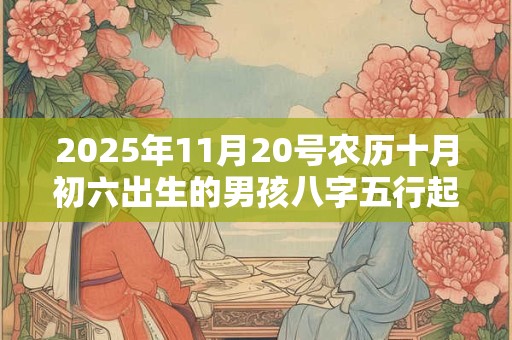 2025年11月20号农历十月初六出生的男孩八字五行起名字