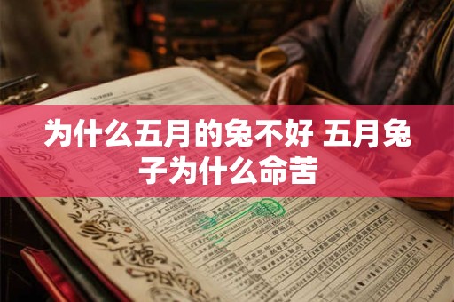 为什么五月的兔不好 五月兔子为什么命苦