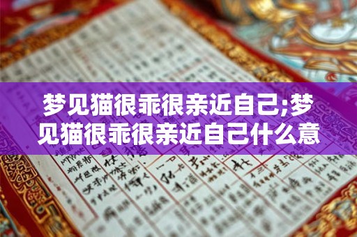 梦见猫很乖很亲近自己;梦见猫很乖很亲近自己什么意思