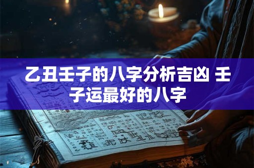 乙丑壬子的八字分析吉凶 壬子运最好的八字