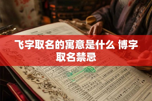 飞字取名的寓意是什么 博字取名禁忌