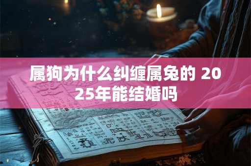属狗为什么纠缠属兔的 2025年能结婚吗