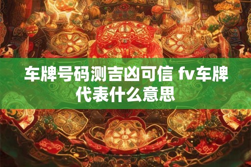 车牌号码测吉凶可信 fv车牌代表什么意思