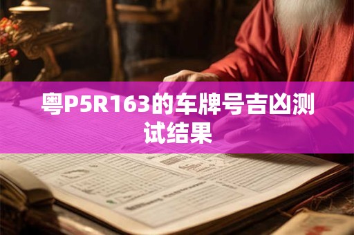 粤P5R163的车牌号吉凶测试结果