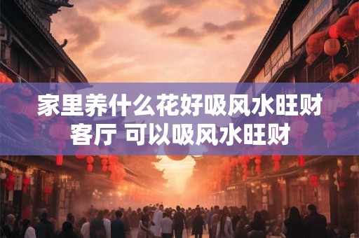 家里养什么花好吸风水旺财客厅 可以吸风水旺财