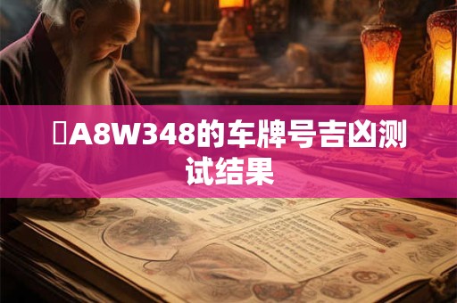 粵A8W348的车牌号吉凶测试结果