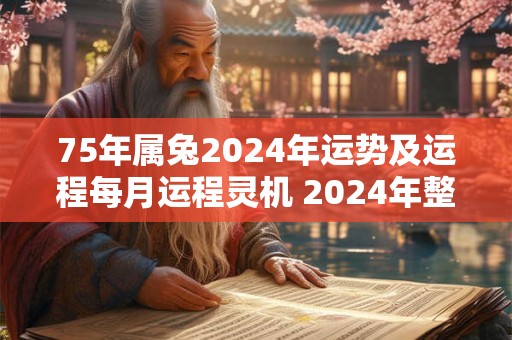 75年属兔2024年运势及运程每月运程灵机 2024年整体运势