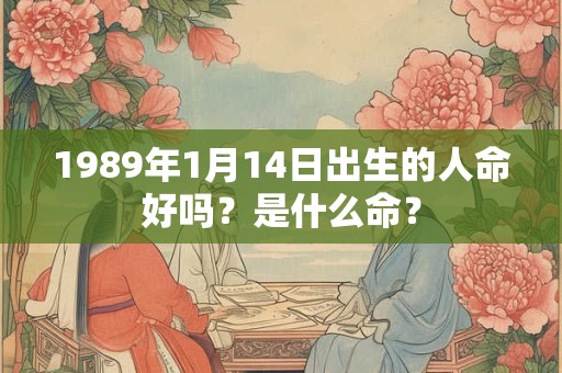 1989年1月14日出生的人命好吗？是什么命？