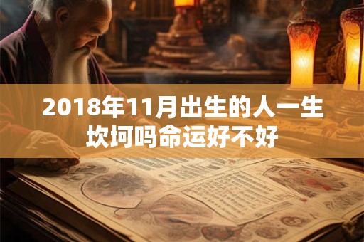 2018年11月出生的人一生坎坷吗命运好不好