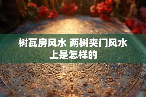 树瓦房风水 两树夹门风水上是怎样的