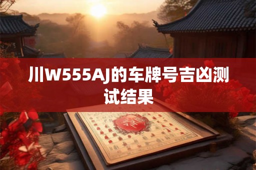 川W555AJ的车牌号吉凶测试结果