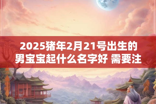 2025猪年2月21号出生的男宝宝起什么名字好 需要注意什么