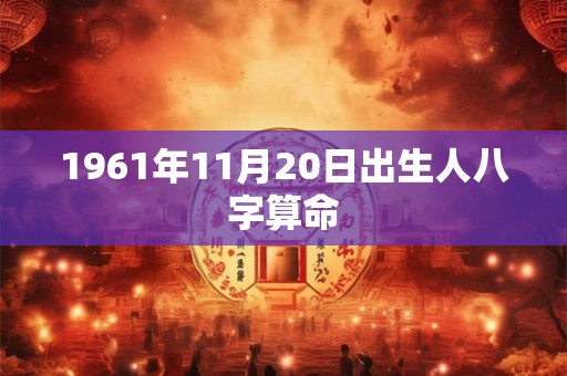 1961年11月20日出生人八字算命