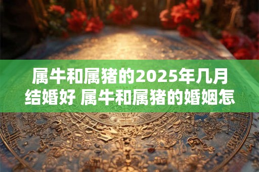属牛和属猪的2025年几月结婚好 属牛和属猪的婚姻怎么样