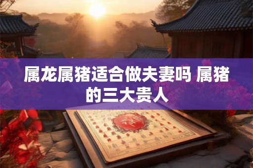 属龙属猪适合做夫妻吗 属猪的三大贵人 属龙属猪适合做夫妻吗 属猪的三大贵人