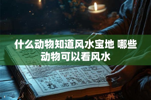 什么动物知道风水宝地 哪些动物可以看风水
